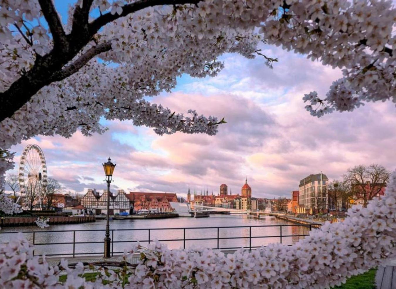 Baltic Gdansk Old Town Heart Aparthotel Exterior foto